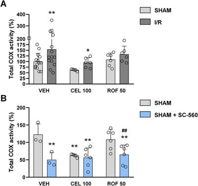 Celecoxib and rofecoxib have different effects on small intestinal ischemia/reperfusion injury in rats